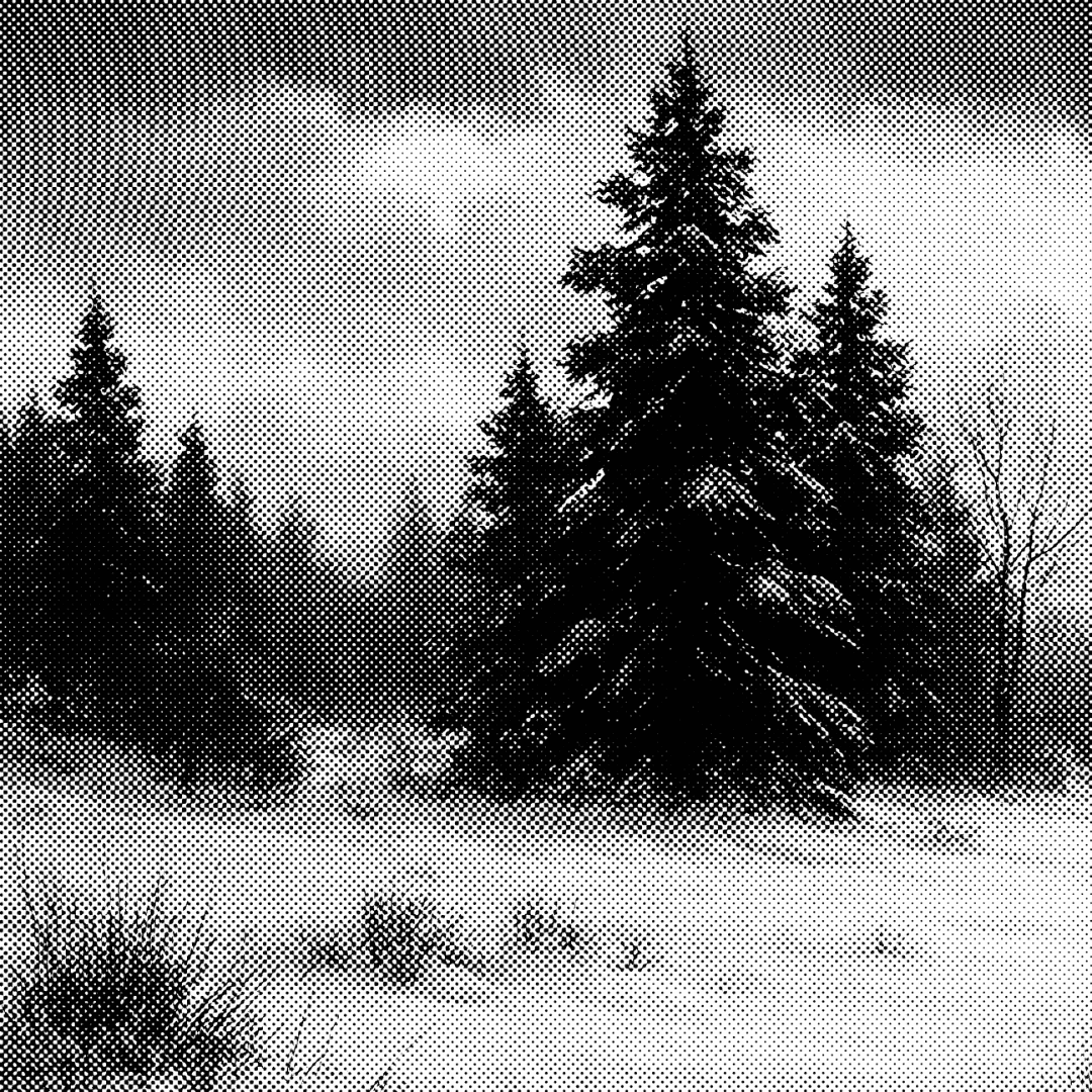 Black Forest River landscape