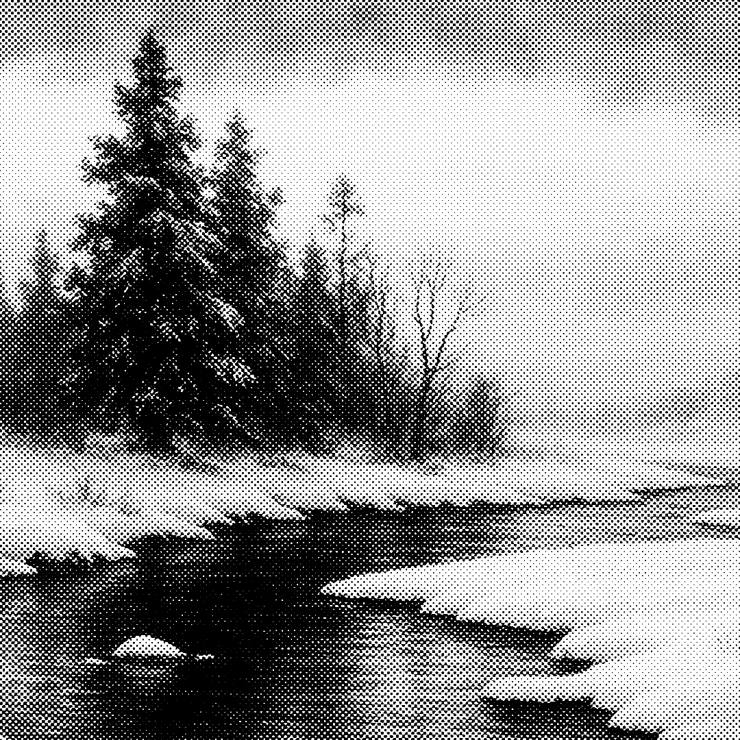 Black Forest landscape